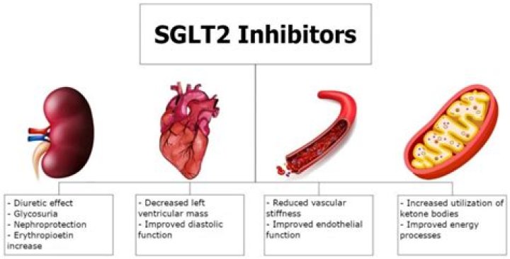 Which is the best sglt2 inhibitor