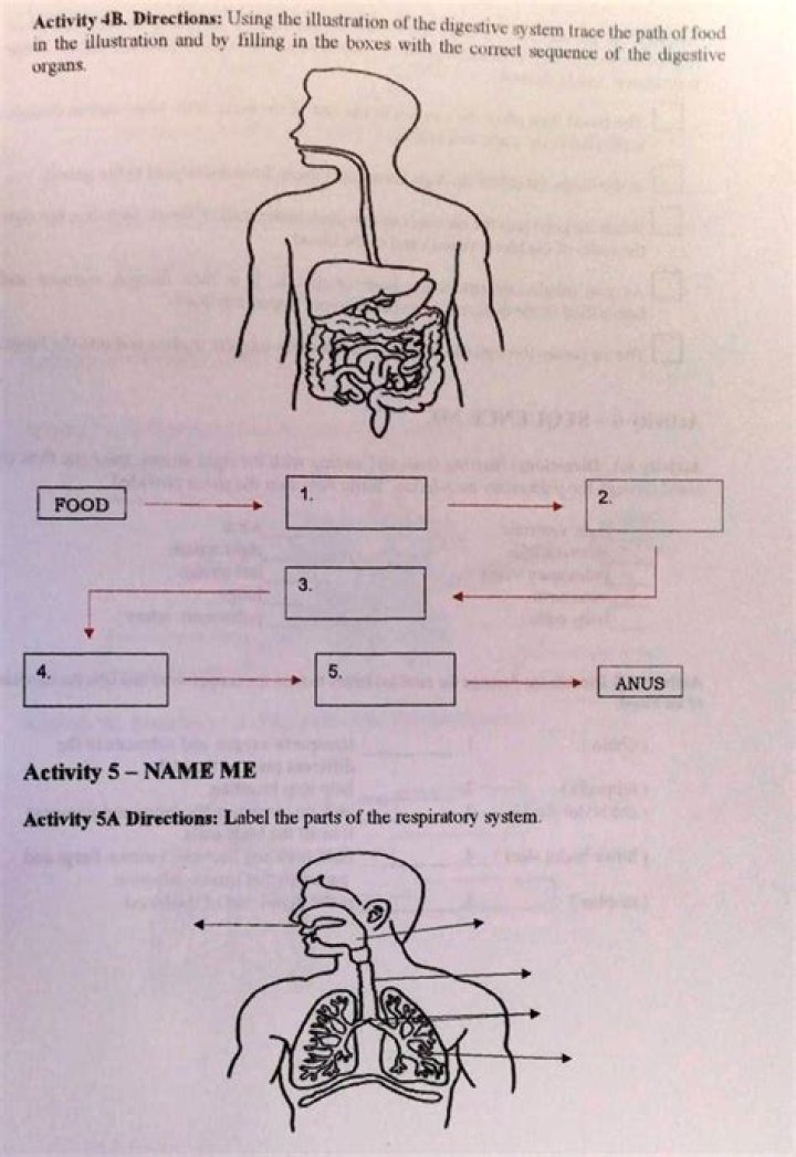 Which is the correct order of processes that happen in the digestive system