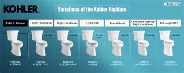 Which Kohler toilet has the strongest flush