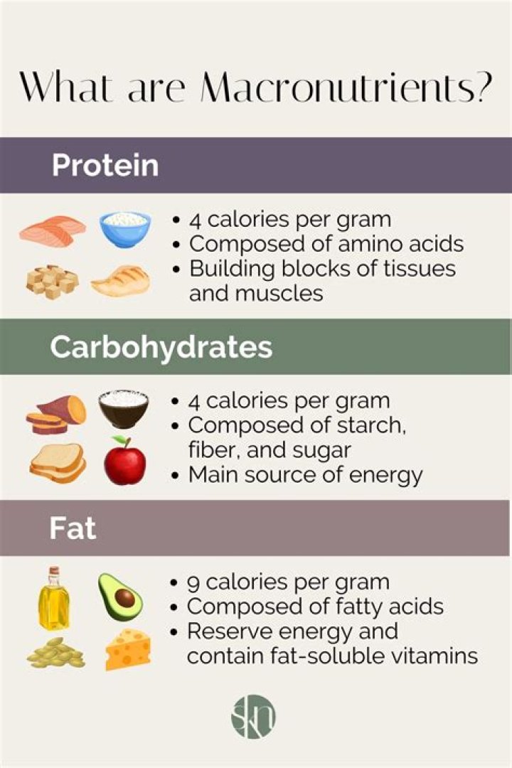 Which macronutrient is primarily digested in the mouth