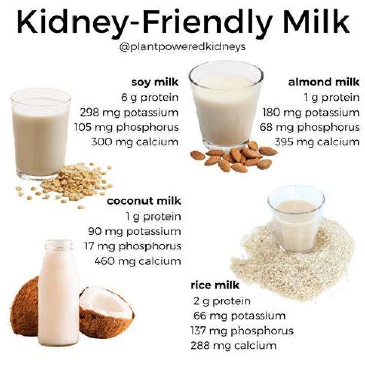 Which milk is good for kidney patients