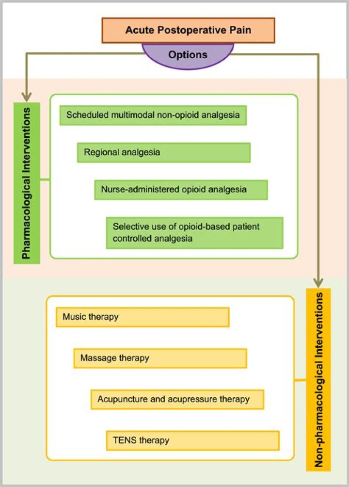 Which of the following opioids is most likely to be used to treat acute post operative pain