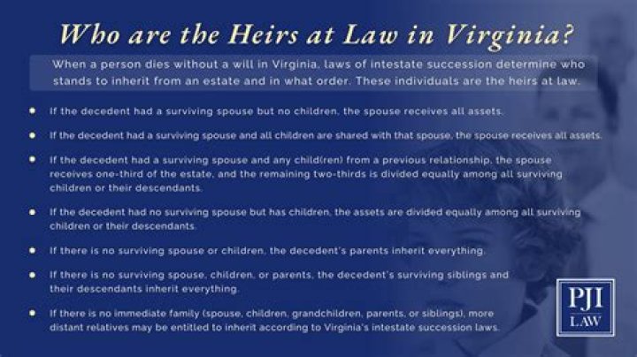 Who are heirs at law in Georgia