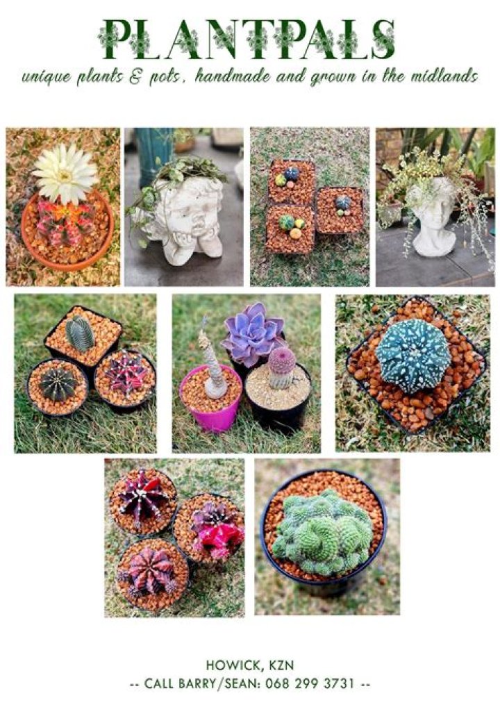 Who are plant friends