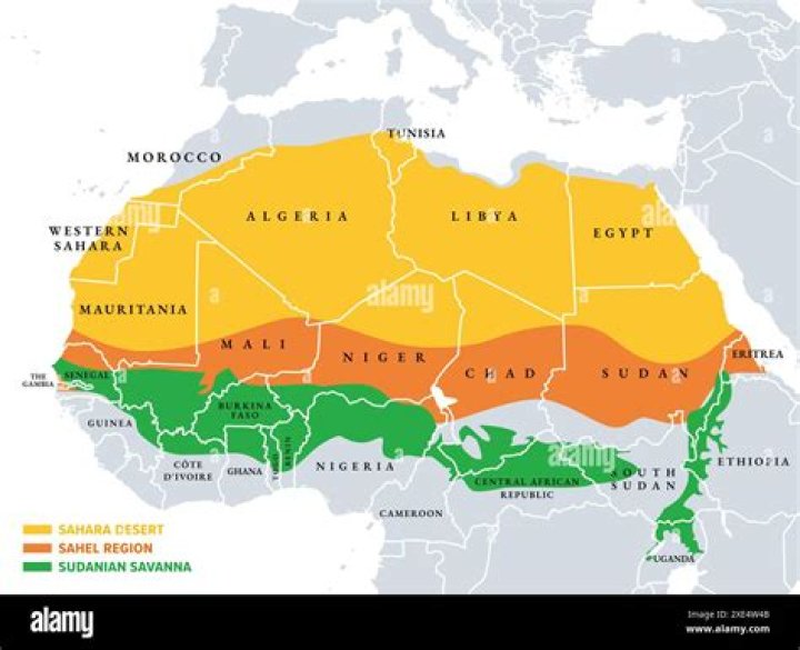 Who called the area south of the Sahara Desert Bilad al Sudan