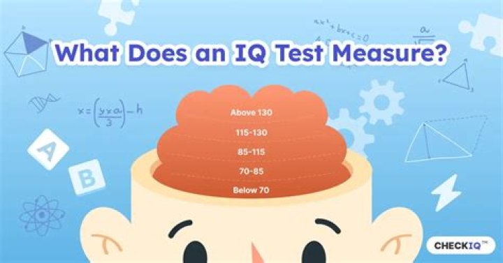 Who created IQ testing