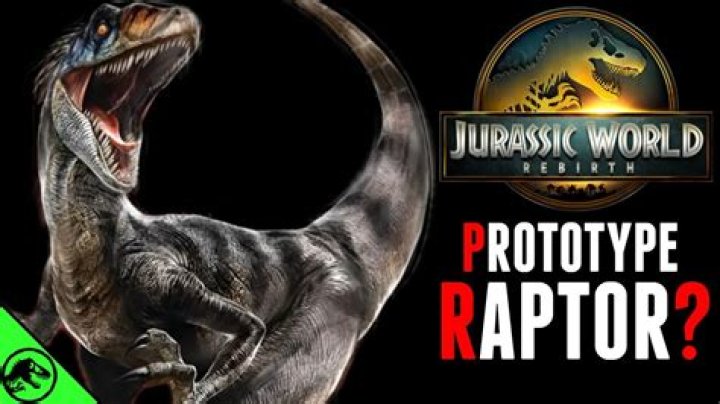 Who did the Raptors sign today