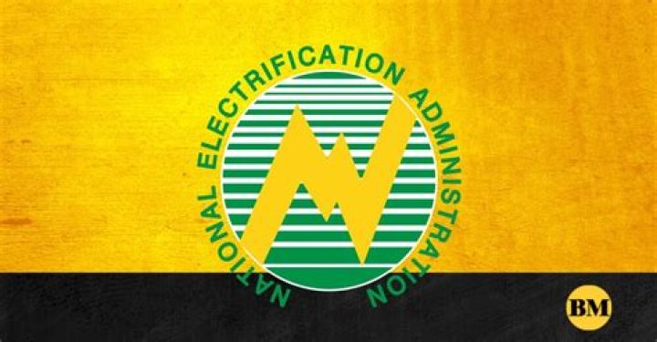 Who did the Rural Electrification Administration provided electricity to