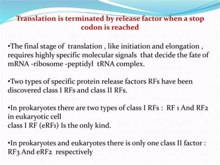 Who discovered codon