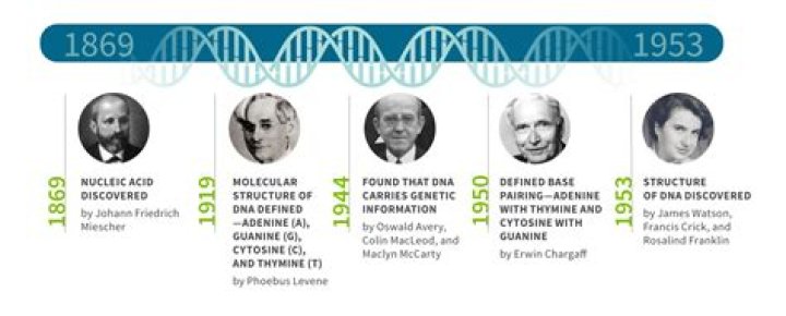 Who discovered DNA