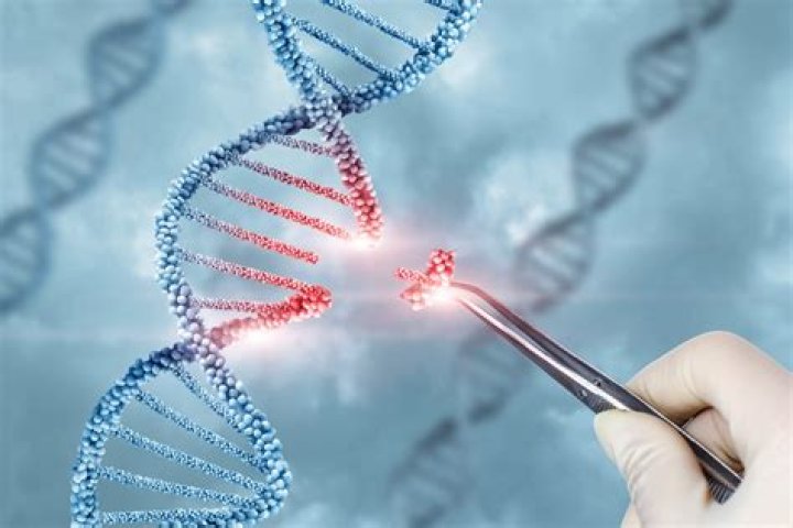 Who discovered gene editing