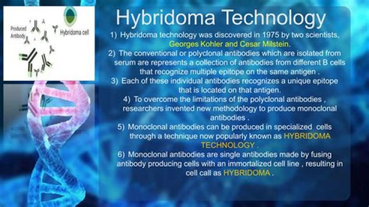 Who discovered hybridoma technology