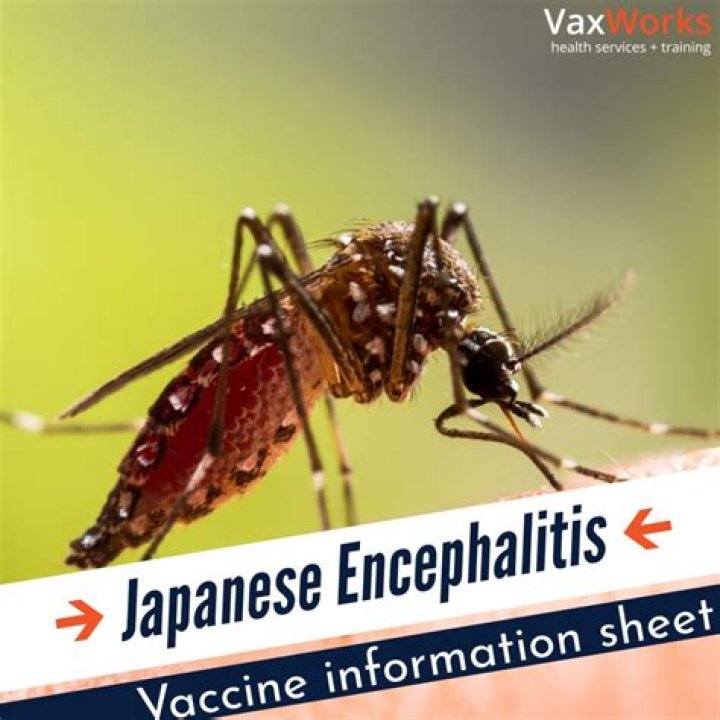 Who discovered Japanese encephalitis vaccine