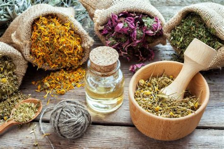 Who discovered medicinal plants