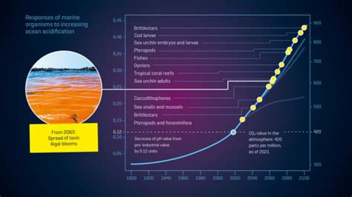 Who discovered ocean acidification