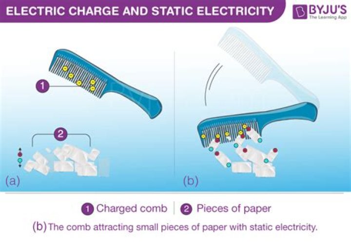 Who discovered static electricity by rubbing fur
