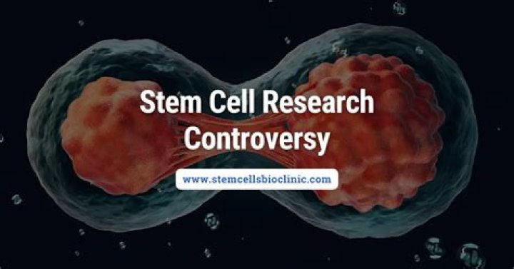 Who discovered stem cell research