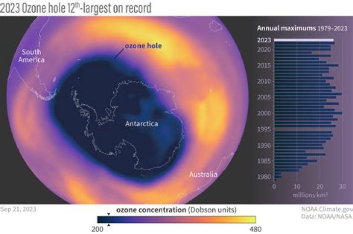 Who discovered the ozone hole