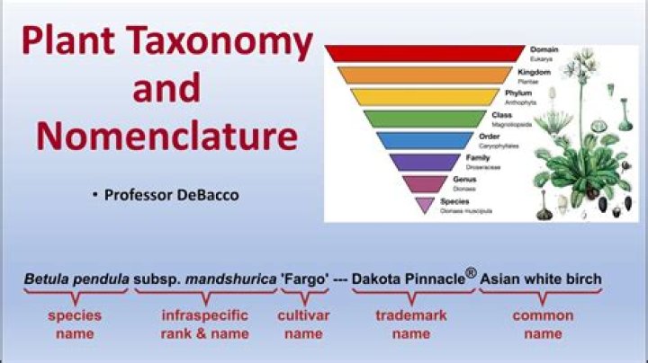Who discovered Trinomial nomenclature