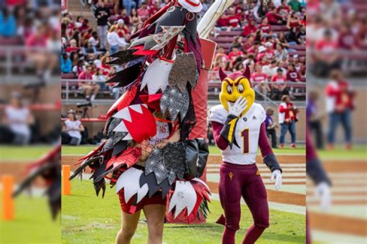 Who is the FSU mascot