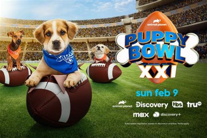 Who is the guy in the Puppy Bowl commercial