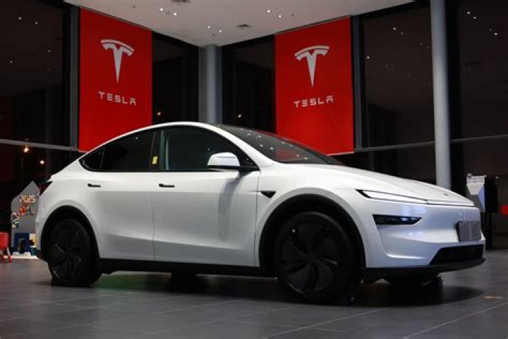 Who is the Tesla guy