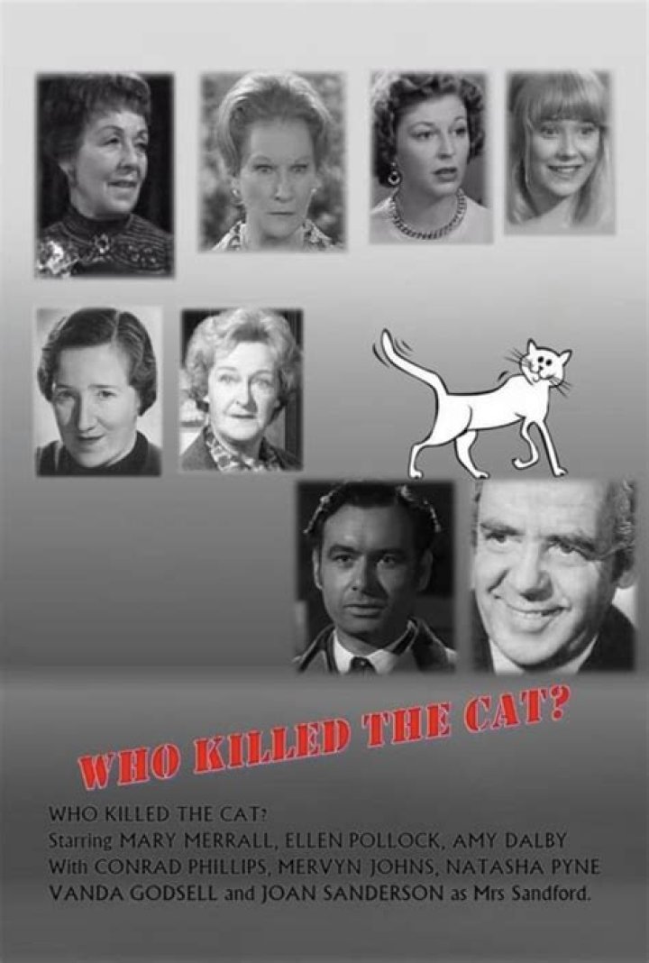 Who Killed the Cat in The Bluest Eye
