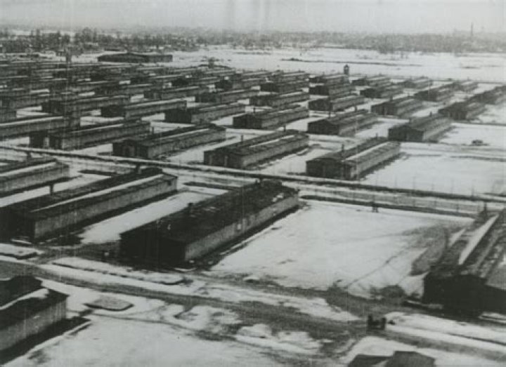 Who liberated Sachsenhausen