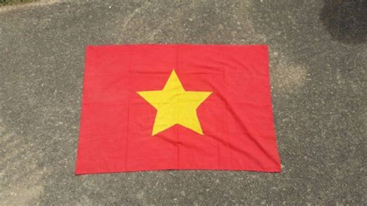 Who supported North Vietnam in the Vietnam War