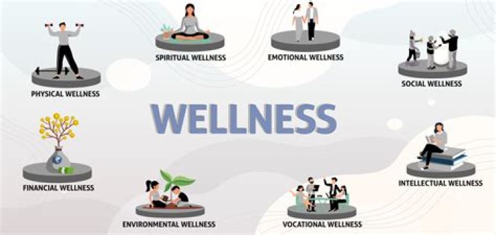 Who was the first person to define and describe wellness