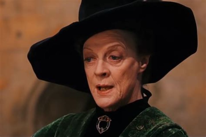 Who was the professor in Harry Potter