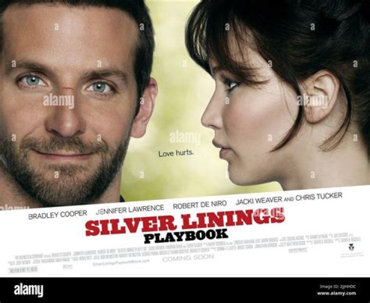 Who wrote Silver Linings Playbook