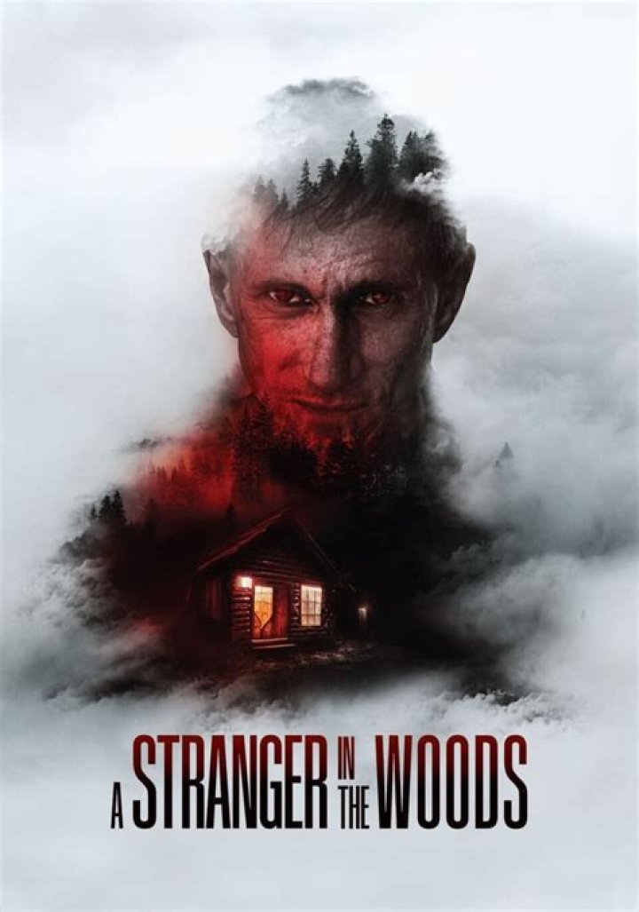 Who wrote Stranger in the Woods