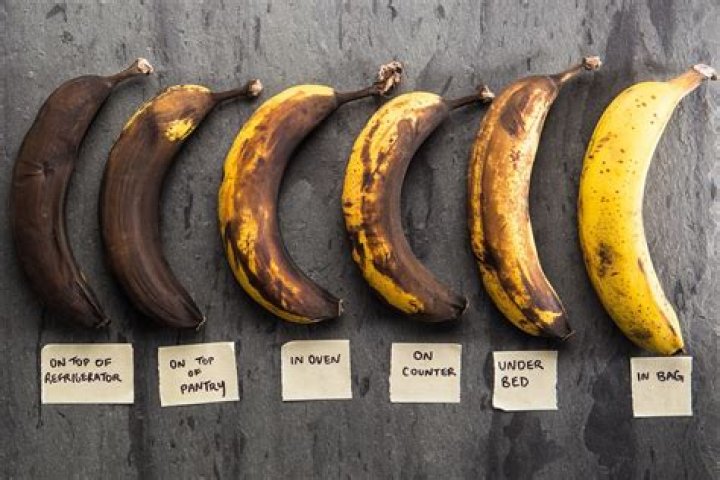 Why are bananas not allowed on boards