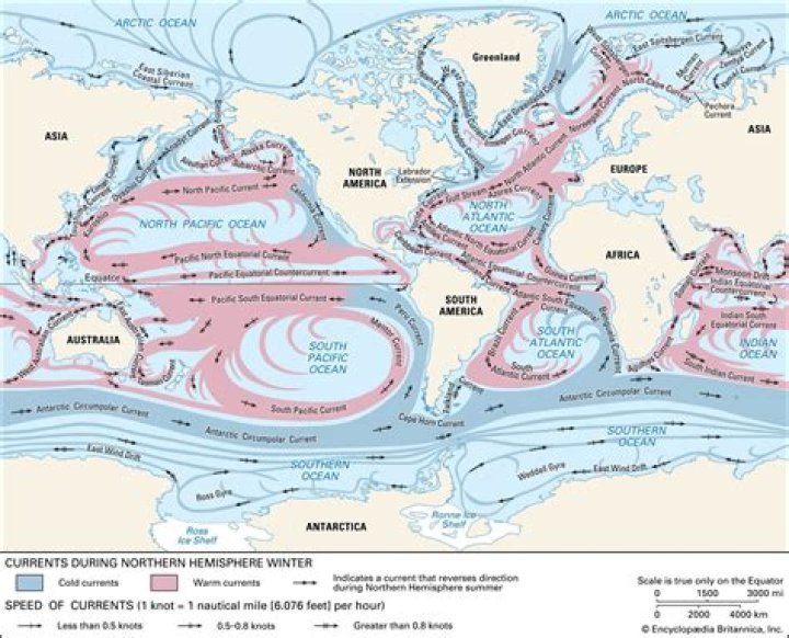 Why are eastern boundary currents slow