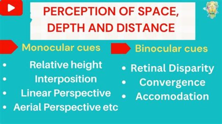 Why are monocular cues important