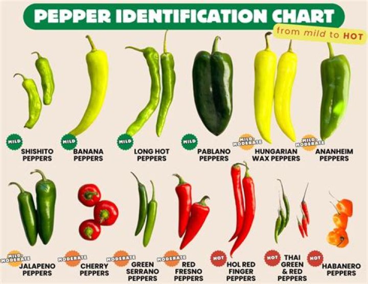 Why are my poblano peppers so hot