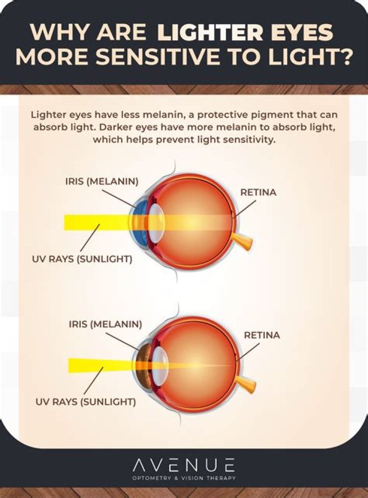 Why are rods more sensitive to light