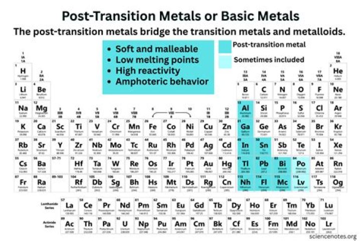Why are transition metals so important