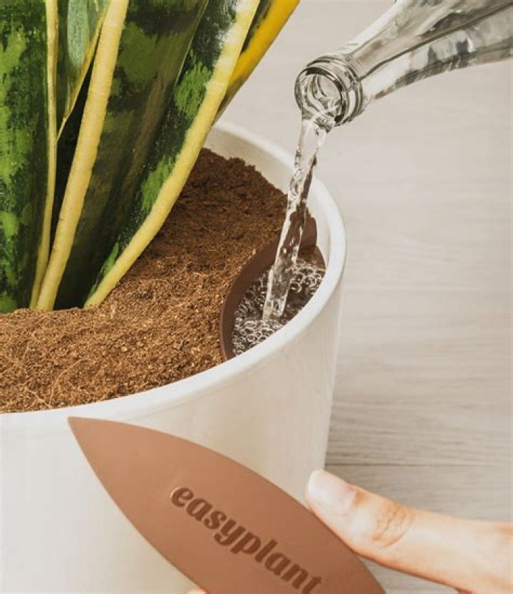 Why can a plant self fertilize