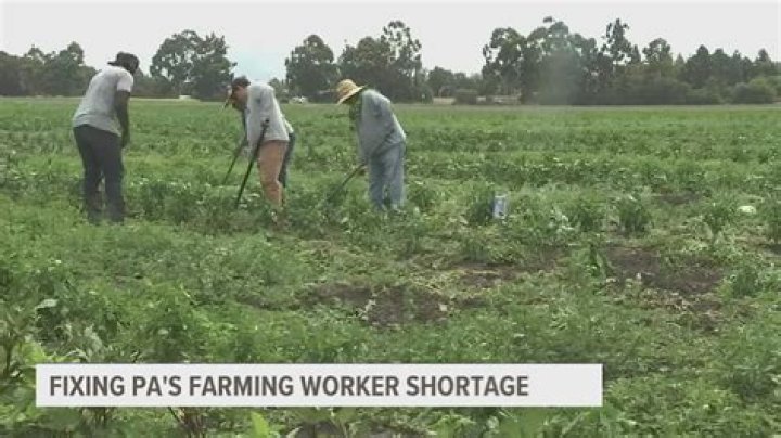 Why did farmers experience labor shortages during the war