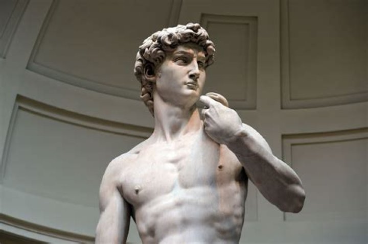 Why did Michelangelo make the statue of David