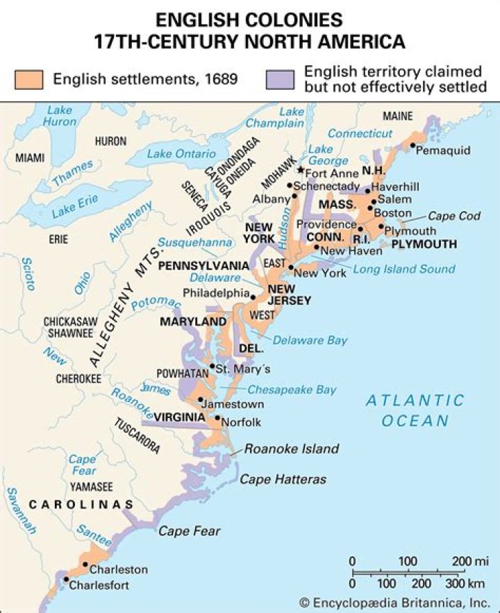 Why did the 13 colonies come to America