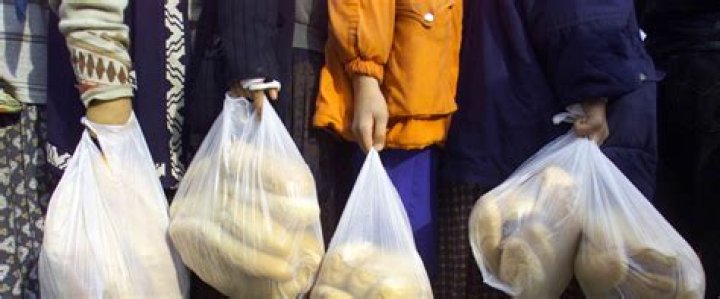 Why did we switch from paper to plastic bags