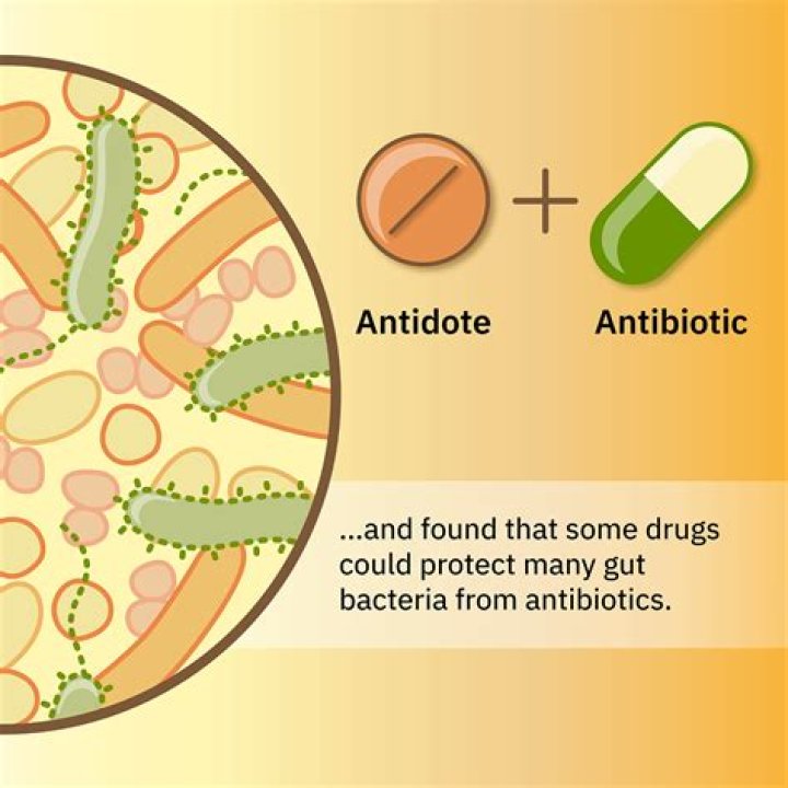 Why do antibiotics automatically stop