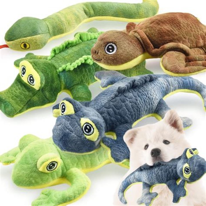 Why do dogs squeak toys