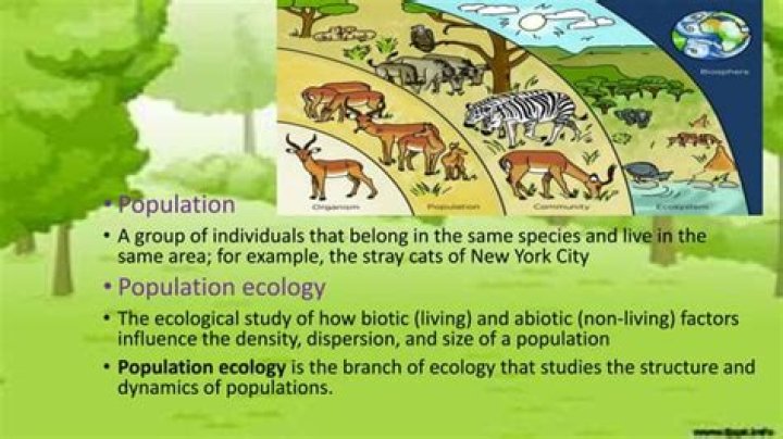 Why do ecologists define a population on the basis of a species
