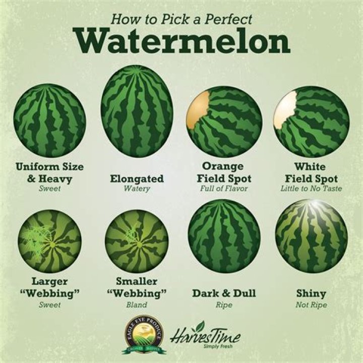 Why do I like watermelon