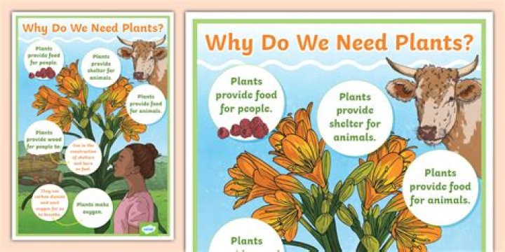 Why do we need to resea