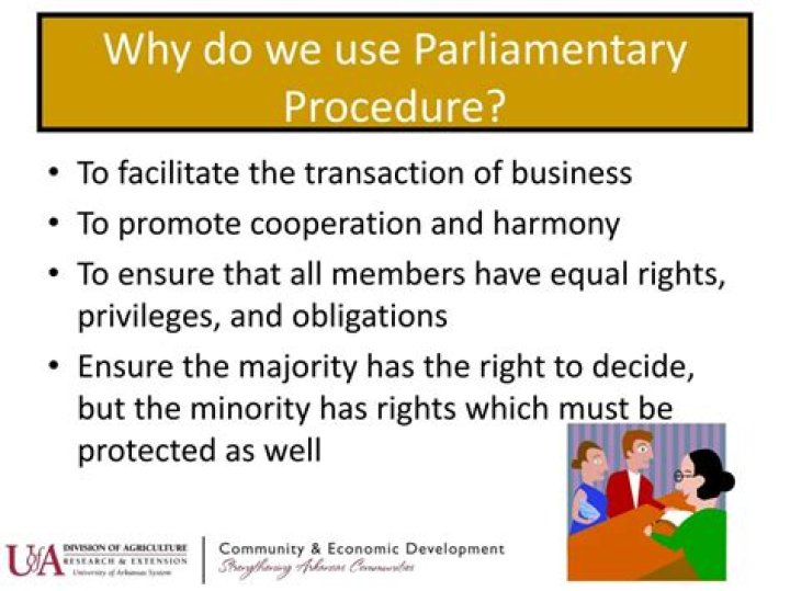 Why do we use parliamentary procedure